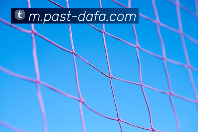 大发彩票平台生态图