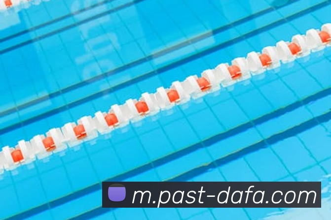 大发彩票全站App 大发彩票全站App